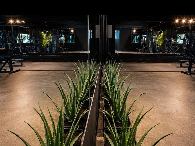 Rows of aloe in black planters running down the center of the training floor, doubled by the mirrored wall