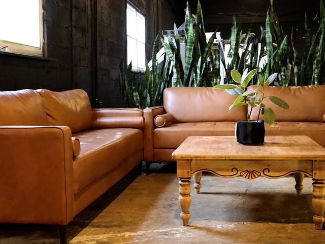 Leather sofas and a wood table in the lounge, backed by a row of snake plants